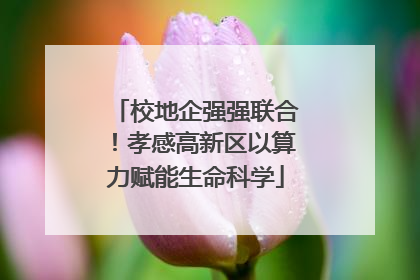 校地企强强联合！孝感高新区以算力赋能生命科学