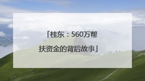 桂东：560万帮扶资金的背后故事