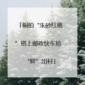 桐柏“朱砂红桃”搭上邮政快车抢“鲜”出村