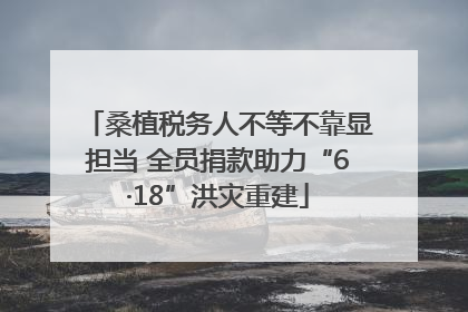 桑植税务人不等不靠显担当 全员捐款助力“6·18”洪灾重建