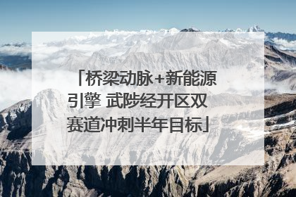 桥梁动脉+新能源引擎 武陟经开区双赛道冲刺半年目标