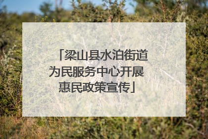 梁山县水泊街道为民服务中心开展惠民政策宣传