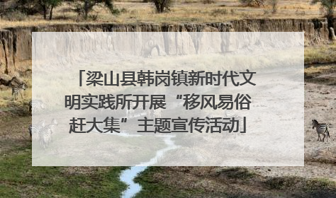 梁山县韩岗镇新时代文明实践所开展“移风易俗赶大集”主题宣传活动