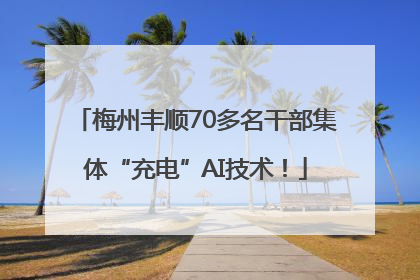 梅州丰顺70多名干部集体“充电”AI技术！