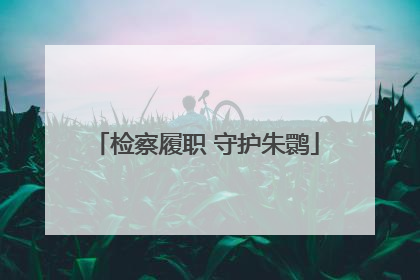 检察履职 守护朱鹮