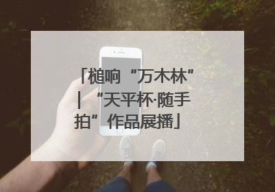 槌响“万木林”｜“天平杯·随手拍”作品展播