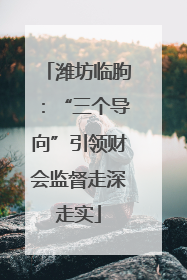 潍坊临朐：“三个导向”引领财会监督走深走实