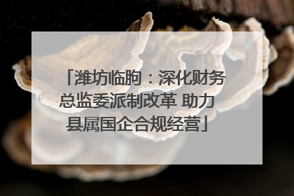潍坊临朐：深化财务总监委派制改革 助力县属国企合规经营