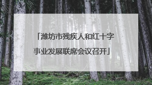 潍坊市残疾人和红十字事业发展联席会议召开