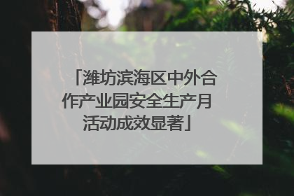 潍坊滨海区中外合作产业园安全生产月活动成效显著