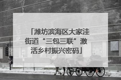 潍坊滨海区大家洼街道“三包三联”激活乡村振兴密码