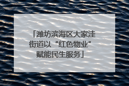 潍坊滨海区大家洼街道以“红色物业”赋能民生服务