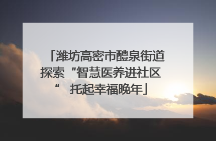潍坊高密市醴泉街道探索“智慧医养进社区” 托起幸福晚年