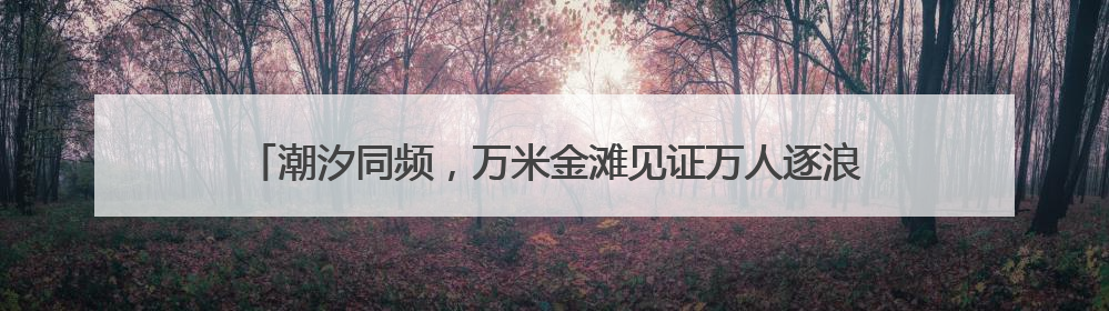潮汐同频，万米金滩见证万人逐浪——2025海阳马拉松火热开跑