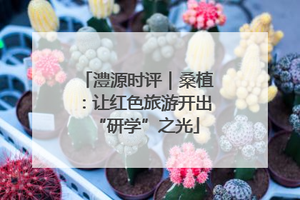 澧源时评｜桑植：让红色旅游开出“研学”之光