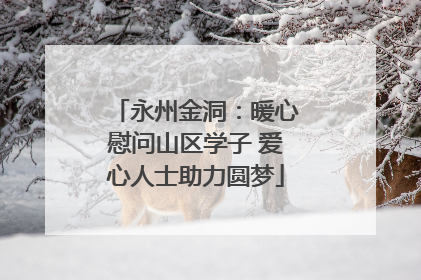 永州金洞：暖心慰问山区学子 爱心人士助力圆梦