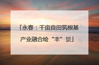 永春：千亩良田筑根基 产业融合绘“丰”景