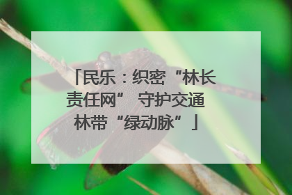 民乐：织密“林长责任网” 守护交通林带“绿动脉”