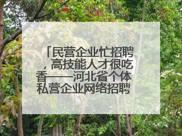 民营企业忙招聘，高技能人才很吃香——河北省个体私营企业网络招聘大会扫描