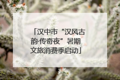汉中市“汉风古韵·传奇夜”暑期文旅消费季启动