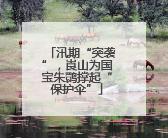 汛期“突袭”，崀山为国宝朱鹮撑起“保护伞”