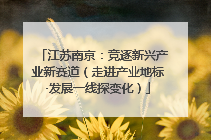 江苏南京：竞逐新兴产业新赛道（走进产业地标·发展一线探变化）
