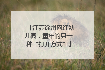 江苏徐州网红幼儿园：童年的另一种“打开方式”