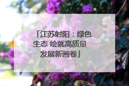 江苏射阳：绿色生态 绘就高质量发展新画卷