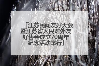江苏民间友好大会暨江苏省人民对外友好协会成立70周年纪念活动举行