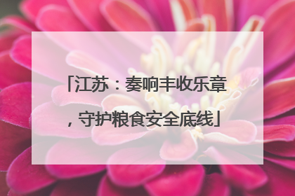 江苏：奏响丰收乐章，守护粮食安全底线