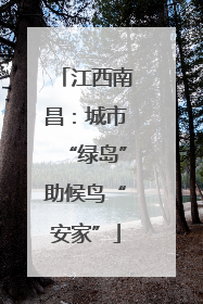 江西南昌：城市“绿岛”助候鸟“安家”