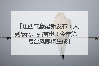 江西气象最新发布：大到暴雨、强雷电！今年第一号台风即将生成