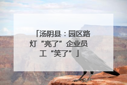 汤阴县：园区路灯“亮了”企业员工“笑了”