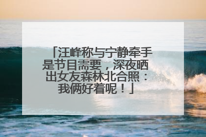 汪峰称与宁静牵手是节目需要，深夜晒出女友森林北合照：我俩好着呢！