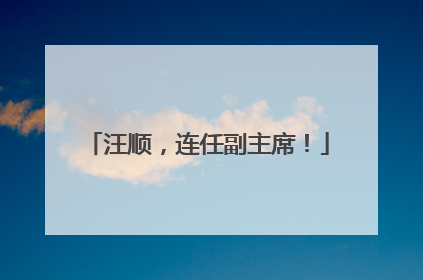 汪顺，连任副主席！