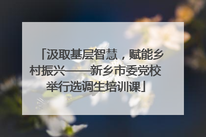 汲取基层智慧，赋能乡村振兴——新乡市委党校举行选调生培训课