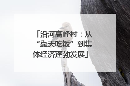 沿河高峰村：从“靠天吃饭”到集体经济蓬勃发展