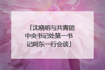 沈晓明与共青团中央书记处第一书记阿东一行会谈