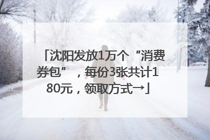 沈阳发放1万个“消费券包”，每份3张共计180元，领取方式→