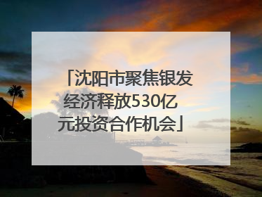 沈阳市聚焦银发经济释放530亿元投资合作机会