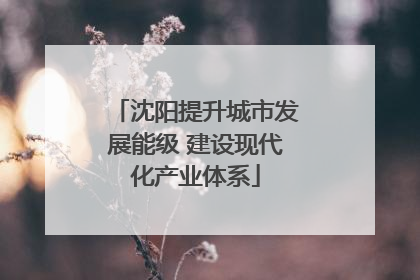 沈阳提升城市发展能级 建设现代化产业体系