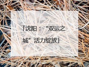 沈阳：“双运之城”活力绽放