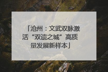 沧州：文武双脉激活“双遗之城”高质量发展新样本