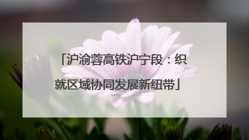 沪渝蓉高铁沪宁段：织就区域协同发展新纽带