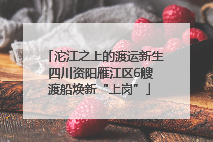 沱江之上的渡运新生 四川资阳雁江区6艘渡船焕新“上岗”
