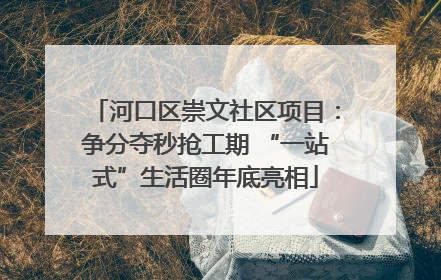 河口区崇文社区项目：争分夺秒抢工期 “一站式”生活圈年底亮相
