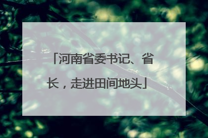 河南省委书记、省长，走进田间地头