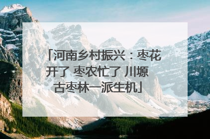 河南乡村振兴：枣花开了 枣农忙了 川塬古枣林一派生机