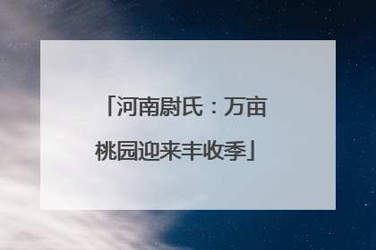 河南尉氏：万亩桃园迎来丰收季