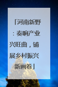 河南新野：奏响产业兴旺曲，铺展乡村振兴新画卷
